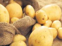 Patateste ilaç vurgunu