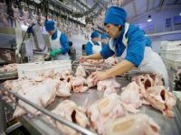 27 ton Türk tavuk kıymasına el konuldu