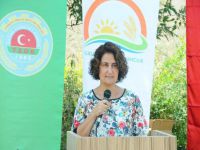 Dekarda 500 kilogram kekik alınıyor