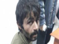 Yakalanan PKK'lı itiraf etti!