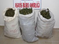 Uyuşturucu satıcılarına darbe