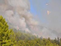 Yangın kontrol altına alındı