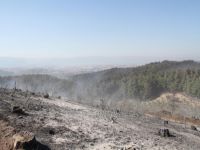 Bursa'da soğutma çalışmaları sürüyor