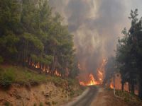Orman yangınlarıyla mücadelede yeni önlem!