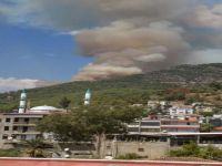 Mersin'de orman yangını