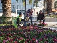 Mudanya, Caddeleri Çiçekleniyor