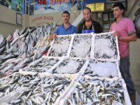 İlk günün bereketiyle balık fiyatları yarı yarıya ucuzladı