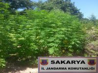 Sakarya'da uyuşturucu operasyonları