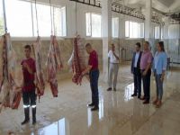 Hatay Büyükşehir Zabıta ekipleri mezbahaneleri denetliyor