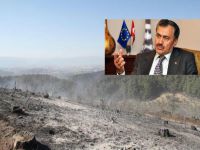 Bakan: 'Bursa'daki yangının izlerini sileceğiz'