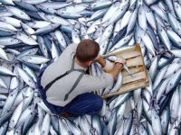 Denizlerde kıyamet senaryosu!