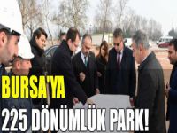 Büyükşehir’den Yıldırım’a 225 dönümlük park