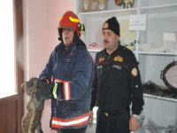 Bursa'da kedi kurtarma operasyonu!