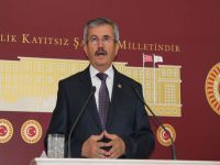Balkız, kuru üzüm ve domates üreticilerinin sorunlarını TBMM'ye taşıdı