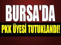 Bursa’da PKK üyesi tutuklandı!