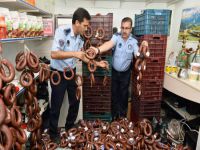 2 Ton kokmuş sucuğu yedireceklerdi