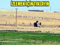 YPG ile ilgili flaş iddia