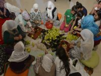 Kurutmalık sebze sezonu başladı