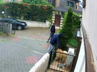 Bursa'da köpek hırsızlığı