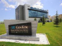 Gen-Kök, uluslararası çalıştaya ev sahipliği yapıyor