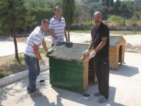 Hayvanseverler barınakları rengarenk boyadı