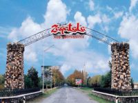 9 gün fındık yiyerek hayatta kaldı