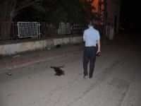 Bursa'da arkadaş katliamı!