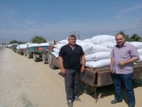 Tariş'in depoları önünde kuyruklar oluştu
