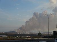 Tuzla'daki orman yangınına müdahale ediliyor