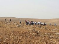 Cizre'ye yürüyen HDP'liler ile polis arasında itiş kakış