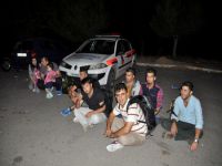 117 kaçak göçmen yakalandı