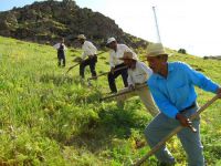 Bursalı çiftçi bayrama buruk giriyor