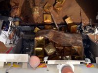 Kokmuş etlerinin imhasına başlandı