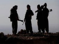 PKK'lı teröristten kan donduran itiraflar