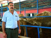 Adanalı besiciler hayvan pazarı istiyor