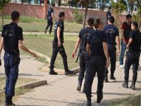 Viranşehir’de 4 gözaltı