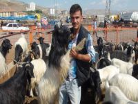 Kurbanlık alırken bunlara dikkat edin