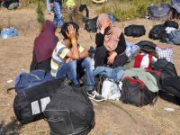 Suriyeliler TEM’de kamp kurdu