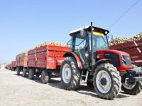 500 bin ton şeker pancarı alacak