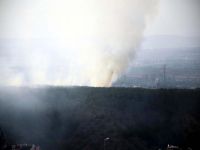 Ankara’da orman yangını