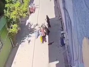 Bursa’da kucağında çocuğu olan anneyi dövdüler