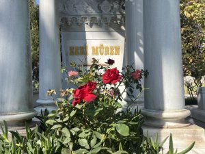 'Sanat Güneşi' mezarı başında anıldı