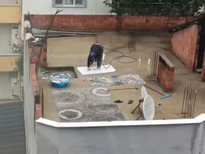 Yağmurlu havada halı yıkayınca...
