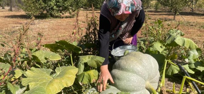 Bursa'da bu kabakları gören hayrete düşüyor