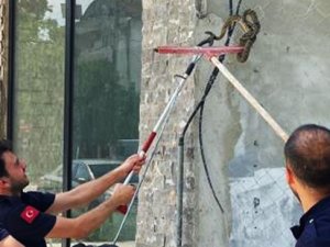 Bursa'da yılan paniği!