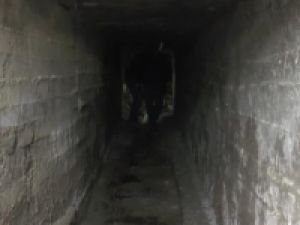Silopi'de teröristlerin kazdıkları tünel ortaya çıkarıldı